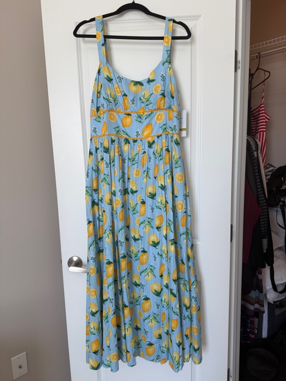 Blue Lemon Print Maxi Dress - Sleeveless Summer Dress